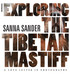 Exploring the Tibetan Mastiff
