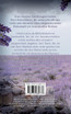 Lavendelblüten in der Provence