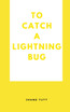 To Catch A Lightning Bug