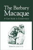 The Barbary Macaque