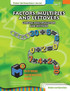 PM3 L4 Numbers and Operations SMJ