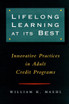 Lifelong Learning at Its Best