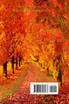 When the Maple Leaves Are Red - Chinese
