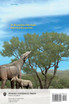 Rhinoceros Giants