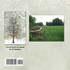 Mill Creek Park Remembered