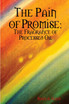 The Pain of Promise