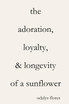 The Adoration, Loyalty, & Longevity of a Sunflower