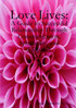 Love Lives
