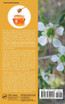 Honey in Traditional and Modern Medicine
