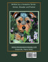 Caring for Your New Yorkie Puppy