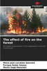 The effect of fire on the forest