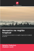 Nevoeiro na região tropical