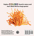 Mycology Book of Colors