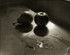 The Stillness of Life