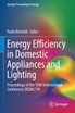 Energy Efficiency in Domestic Appliances and Lighting by Paolo Bertoldi (Paperback)