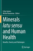 Minerals latu sensu and Human Health by Celso Gomes (Paperback)