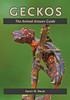 Geckos