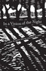 In a Vision of the Night