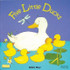 Five Little Ducks