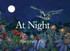 At Night