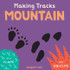 Mountain (Making Tracks)