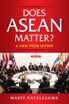 Does ASEAN Matter?