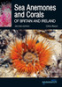 Sea Anemones and Corals of Britain and Ireland