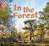 In the Forest