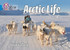 Arctic Life