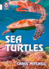 Sea Turtles