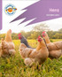 Reading Planet: Rocket Phonics - First Steps - Hens (Lilac Plus)