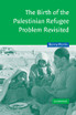 The Birth of the Palestinian Refugee Problem Revisited
