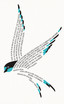 One Swallow Does Not Make a Summer