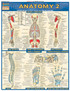 Anatomy 2 - Reference Guide