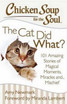 Chicken Soup for the Soul: the Cat Did What?