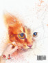 Cats and Kittens