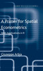 A Primer for Spatial Econometrics