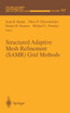 Structured Adaptive Mesh Refinement (SAMR) Grid Methods