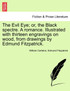 The Evil Eye; or, the Black spectre. A romance. Illustrated with thirteen engravings on wood, from drawings by Edmund Fitzpatrick.