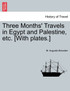 Three Months' Travels in Egypt and Palestine, etc. [With plates.]