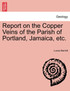 Report on the Copper Veins of the Parish of Portland, Jamaica, etc.