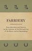 Farriery - Some Questions and Answers on the Anatomy of the Foot and Leg of the Horse, and on Shoemaking