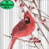 Winterberry Cardinal 12X12