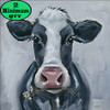 Walter 12X12