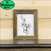 Sketched Flower Stem 8X10