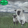 Scotland Spring 12x12