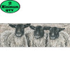 Three Sheep 12x36