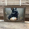 Ebony And Eggs 12X16