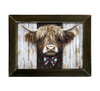 Peeking Patriotic Highland 12x16