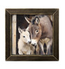 Mama & Baby Donkey 12x12